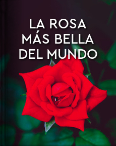 El Libro Total. La rosa más bella del mundo. Hans Christian Andersen